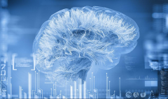 美國高防服務(wù)器如何防御DDoS攻擊