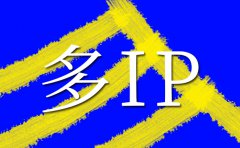 服務器租用|美國多ip站群如何選擇以及能做什